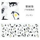手ぬぐい 梨園染め「ペンギン 811」《戸田屋商店》ペンギン/親子/白地/手拭い/てぬぐい【5点までメール便OK】【TD】