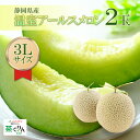 アールスメロン 大玉 3Lサイズ 2玉 2個セット 温室メロン 静岡県産 青肉メロン JA 夏ギフト フルーツ お中元 贈り物 暑中見舞い プレゼント 甘い 高...