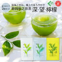 緑茶 ティーバッグ 水出し お茶 静岡牧之原茶 望 深 檸檬 5g×12P×2 1000円ポッキリ ぽっきり 飲み比べ 選べ 静岡茶 日本茶 静岡県産 ブランド...