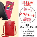 アウトレット【福袋】 カードケース 薄型 本革 インナーカードケース 片面9枚 スマホポーチ スリム 薄い ウォレットイン 長財布に入れる カード入れ スマホシ...