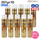 【ポイント3倍!24日20時から】ロレアル エルネット 207g ×10本 《サテン・ピュール》 選べるセット / 【送料無料】 美容室 サロン専売品 美容院 ヘアスタイリング ヘアスプレー ハード スタイリング剤 ハードスプレー おすすめ品