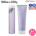 【6/3限定ポイント3-10倍】アジュバン Re: プラチナム シャンプー 300mL + トリートメント 250g セット / 【送料無料】 美容室 サロン専...