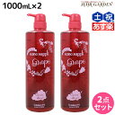 【5/5限定ポイント2倍】サニープレイス ヘアオペ ナノサプリ クレンジングシャンプー グレープ 1000mL ×2個 セット / 【送料無料】 美容室 サロン専売品 美容院 ヘアケア サニープレイス