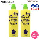 【ポイント3倍!24日20時から】サニープレイス ヘアオペ ナノサプリ トリートメント グリーンアップル 1000mL ×2個 セット / 【送料無料】 美容室 サロン専売品 美容院 ヘアケア サニープレイス