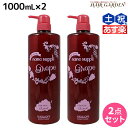 【ポイント3倍!24日20時から】サニープレイス ヘアオペ ナノサプリ トリートメント グレープ 1000mL ×2個 セット / 【送料無料】 美容室 サロン専売品 美容院 ヘアケア サニープレイス