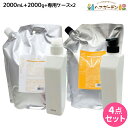 デミ ヘアシーズンズ シャンプー 2000mL + トリートメント 2000g + 各専用ケース 《スムース・モイスチャー・エクストラ》 選べるセット 詰め替え...