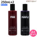 【5/5限定ポイント2倍】フィヨーレ クオルシア カラーシャンプー 250mL ×2個 《アッシュ・オレンジ・ピンク・パープル》 選べるセット / 【送料無料】 美容室 サロン専売品 美容院 ヘアケア カラーケア 褪色防止 ムラサキシャンプー ムラシャン 紫シャンプー