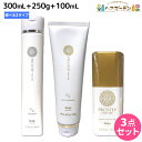【6/3限定ポイント3-10倍】ホーユー プロステップ ヘアケア シャンプー 300mL + トリートメント 250g + アウトバストリートメント セット 《...