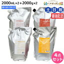デミ ヘアシーズンズ シャンプー 2000mL 詰め替え ×2個 + トリートメント 2000g 詰め替え ×2個 《スムース・モイスチャー・エクストラ》 選べ...