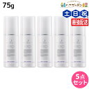 デミ フローディア モイストケアミルク 75g ×5個 セット / 【送料無料】 洗い流さないトリートメント アウトバス トリートメント 美容室 サロン専売品 美容院 ヘアケア ダメージケア ヘアミルク ツヤ 保湿 パサつき 広がり うるおい まとまり