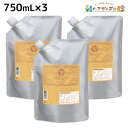 モルトベーネ ディープレイヤー シャンプー ExV(エクストラ ベルベッティ) 750mL 詰め替え ×3個 セット / 【送料無料】b-ex ビーエックス 美容室 サロン専売品 美容院 ヘアケア ダメージ 熱 アイロン ブリーチ ヘアカラー