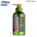★最大2,000円OFFクーポン配布中★ナプラ ケアテクト OG シャンプー 250mL 《AC・VC》 / 美容室 サロン専売品 美容院 ヘアケア napla ナプラ セット オススメ品