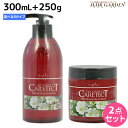 【6/3限定ポイント3-10倍】ナプラ ケアテクト HB シャンプー 300mL + トリートメント 250g セット 《リペア・スキャルプ・S・V》/ 美容室...