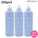 【ポイント3倍以上!24日20時から】ナプラ 薬用フェアリーフィールゲル 250g × 3個 セット / 【送料無料】 美容室 サロン専売品 美容院 ヘアケア napla ナプラ セット オススメ品