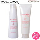 ★最大2,000円OFFクーポン配布中★ニューウェイジャパン ナノアミノ シャンプー RS 250mL + トリートメント RS 250g （さらさらタイプ） セット / 【送料無料】 美容室 サロン専売品 美容院 ヘアケア おすすめ