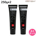 ★最大2,000円OFFクーポン配布中★リアル化学 スタイルエッセンス CE 4W 250g ×2個 セット / 【送料無料】 美容室 サロン専売品 美容院 ヘアケア カラートリートメント ヘアカラー ツヤ