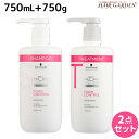 【ポイント3倍!24日20時から】シュワルツコフ BCクア フォルムコントロール シャンプー a 750mL + トリートメント a 750g セット / 【送料無料】 美容室 サロン専売品 美容院 ヘアケア schwarzkopf シュワルツコフ おすすめ品