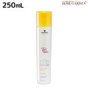 【ポイント3倍!14日20時から】シュワルツコフ BCクア カラーセーブ シャンプー a 250mL / 【送料無料】 美容室 サロン専売品 美容院 ヘアケア schwarzkopf シュワルツコフ おすすめ品