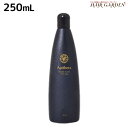 ★最大2,000円OFFクーポン配布中★資生堂 アピセラ ヘアソープ 250mL / shiseido プロフェッショナル 美容室 サロン専売品 美容院 ザ・ヘアケア おすすめ 頭皮ケア スカルプケア スキャルプケア ダメージケア