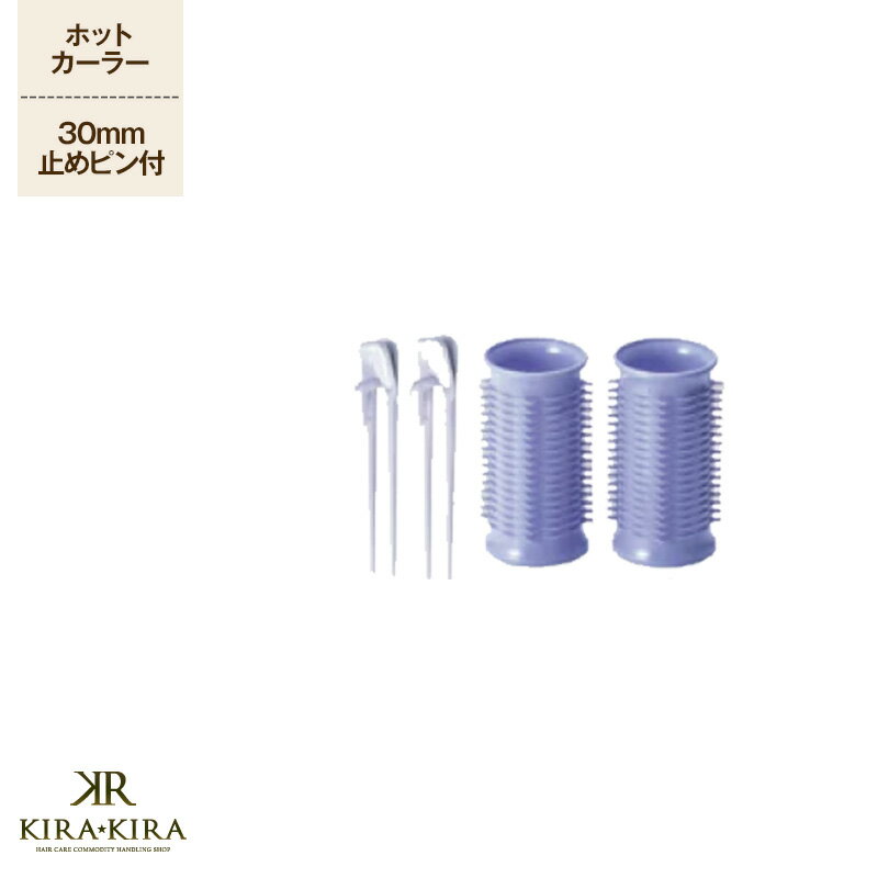 【LINE登録で300円クーポン】アイビル ホットカーラー 2個 (30mm) 美容院専売