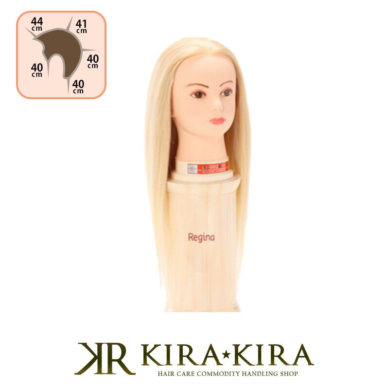 【5%OFFクーポン対象商品】レジーナ LJ-002G ver.2 アップウィッグ ハチ周り 約53cm 人毛100%|ヘアカット カット練習 マネキン セット練習用 マネキン 練習用 マネキン ヘッド 新人 研修 トレーニング ヘアケア サロン専売 美容室専売 美容院