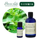【LINE登録で300円クーポン】フレーバーライフ エッセンシャルオイル マジョラムスイート|10ml 100ml スパイシー 甘い 甘さ ハーブ調 アロマ 天...