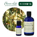 【LINE登録で300円クーポン】フレーバーライフ エッセンシャルオイル ユーカリ・グロブルス|10ml 100ml 爽快感 すっきり アロマ 天然精油 100...