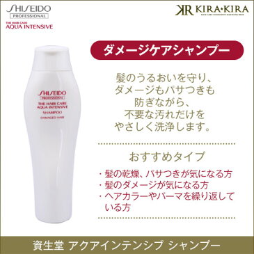 【クーポン対象11日01:59迄】資生堂プロフェッショナル アクアインテンシブ シャンプー 250ml＋トリートメント 250g 計2個 お試しセット