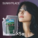 サニープレイス ザクロ精炭酸シャンプー 800ml 詰替用×5個セット|SUNNYPLACE ザクロエキス 血行促進 頭皮 ケア 皮脂 油分 脂分 べたつき べたつき かゆみ 炎症 におい くさい 臭い 自然由来 頭皮環境 潤い うるおい ハリ コシ