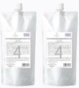 《2個セット・送料無料》【デミ】フローディア ST グランメロウ 4 450g レフィル FLOWDIA エイジングケア サロン専売正規品(4)