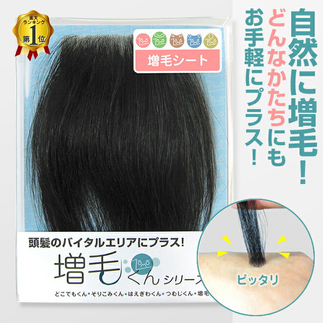 自由な形にカットしてプラス!増毛くんシリーズ増毛シート(人毛100%)シール式 貼る増毛 エクステ / ファーストセット付き(初回購入限定) マイクロファイバー...