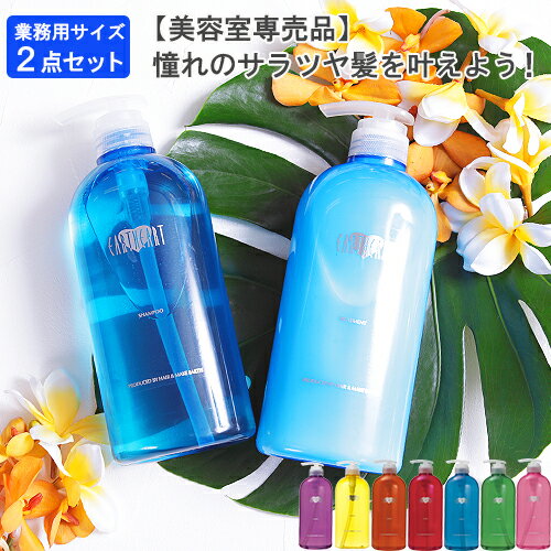 【美容室専売品】プロ品質の成分と選べる香り◎アロマシャンプー＆トリートメントセット各720ml/お徳な業務用サイズ(約90回分)ノンシリコンシャンプー EARTHEART(アースハート) 髪質改善 アミノ酸系シャンプー 美容室 日本製