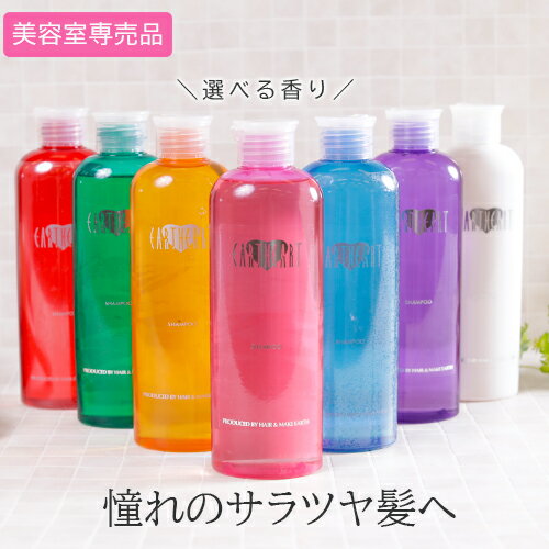 【サロン専売品】単品 アロマシャンプー240ml/　サロン専売 美容室専売 ノンシリコンシャンプー アミノ酸系 アースハート 東京 美容室