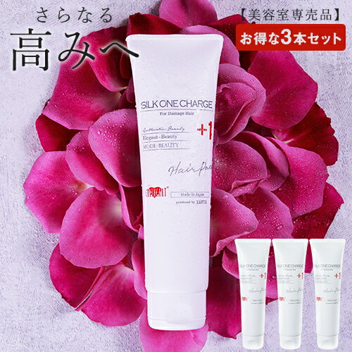 ＼2BUY10%OFFクーポン対象／楽天ランキング1位【美容室専売品】 シルクワンハイドロチャージ ヘアパック 150g×3本セット/ 実際の美容室でも使われているプロ仕様 サロン専売品 ヘアケア トリートメント 日本製 アースハート EARTHEART