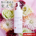 yeꔄiz 􂢗Ȃg[gg 22vX wAIC(300ml)ƖpTCYʏTCY5{e EARTHEART Tꔄ e HAIRMAKE EARTH