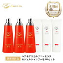 ヘアモア 育毛剤 ＆ ジェルシャンプー セット 各3本 ノンシリコン スカルプ daily Hairmore