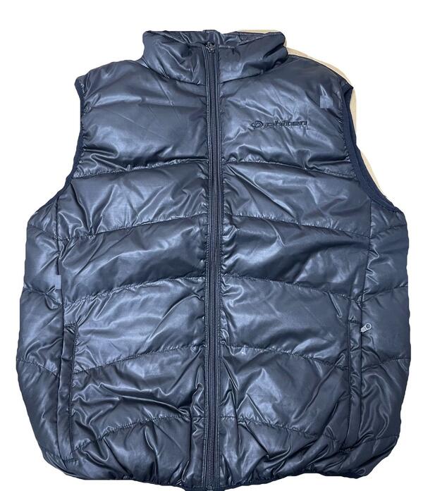 ファイテン ダウンベストメンズ