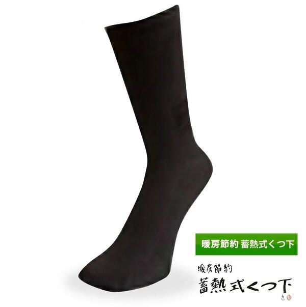 【ゆうパケット選択で送料無料】暖房費節約 蓄熱式くつ下 コーポレーションパールスター