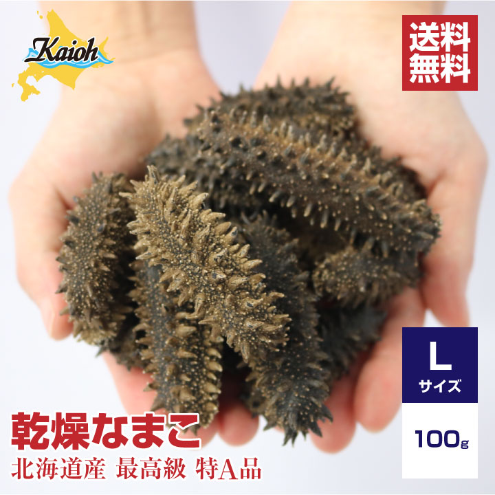 【お試し商品】北海道産乾燥海参【特A品】Lサイズ12個前後入り（100g）中華高級食材 干し海鼠 北海キン..