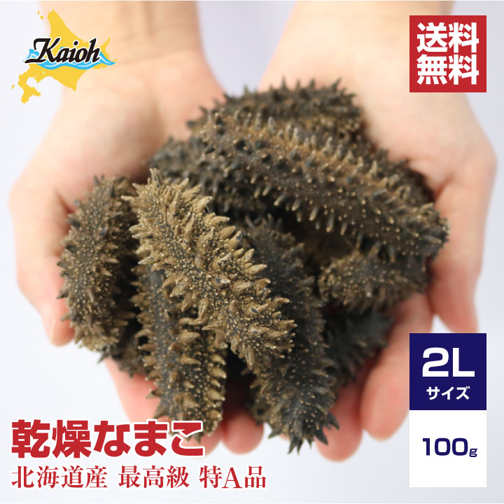 北海道産乾燥海参【特A品】2Lサイズ9個前後入り（100g）中華高級食材 干し海鼠 北海キンコ 海参 品質保証 北海道産 天然 乾燥 なまこ 乾燥ナマコ 干しなまこ 干しナマコ 高級珍味 贈答品 ギフト 金ん子 ギフト