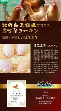 【送料無料】海王玉子（カイオウタマゴ）名古屋コーチン 卵　30個入り　高級卵/玉子/たまご/贈答卵/ご家庭卵 ブランド卵/鶏卵/ ギフト