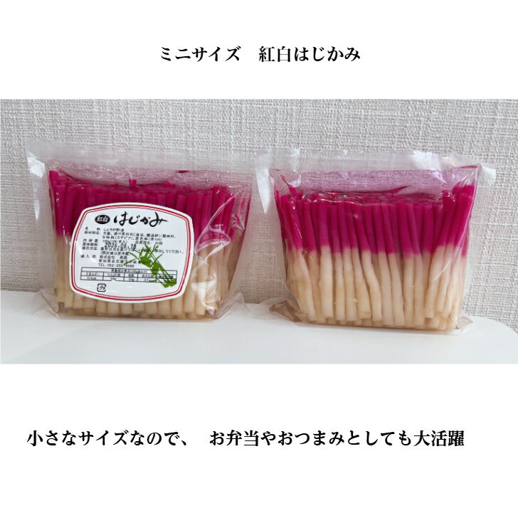 ミニサイズ 紅白はじかみ 袋詰 180g 100本入 3