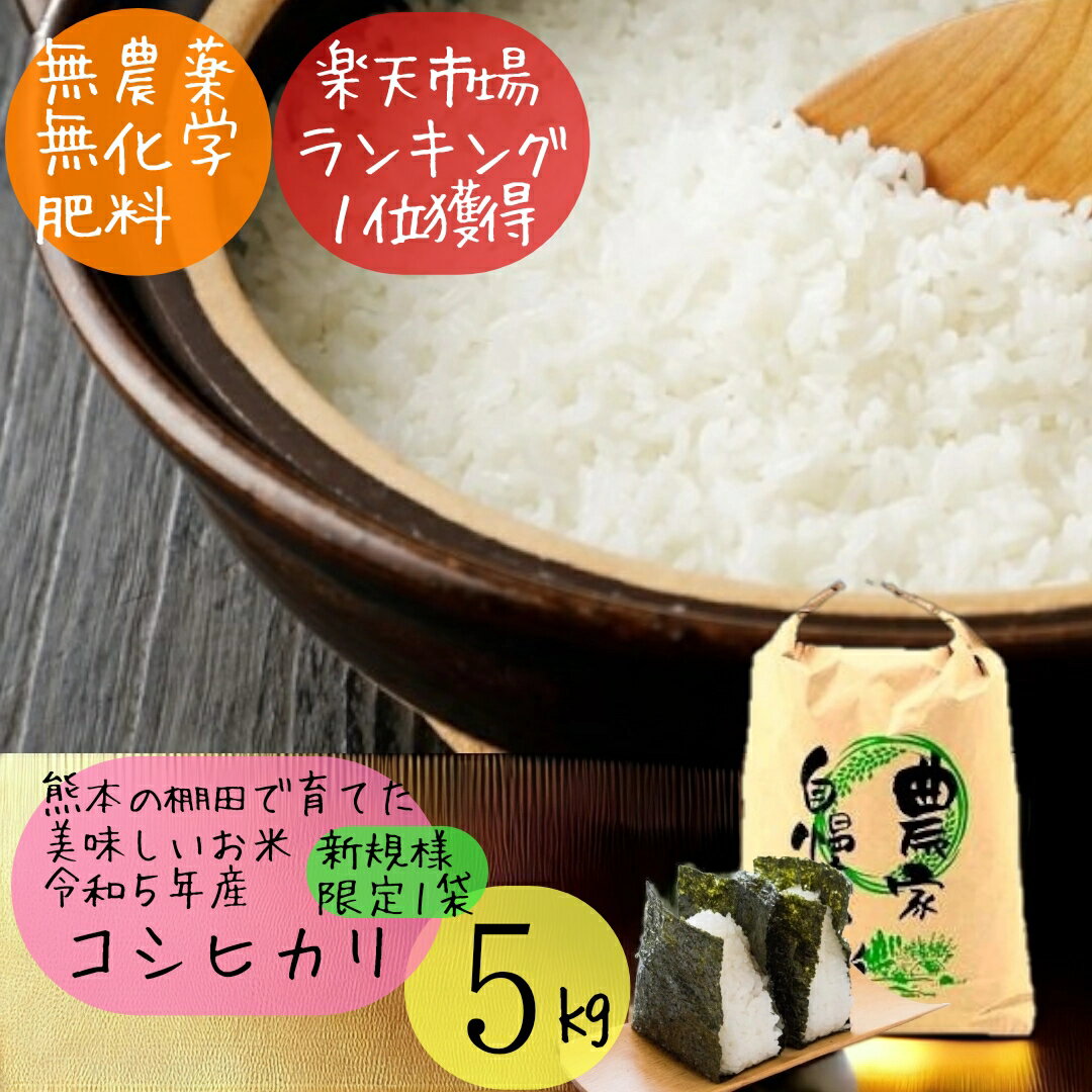 【新規様限定お一人様1袋】新米 無農薬 白米 5kg お試し 令和5年産 熊本県産 ...