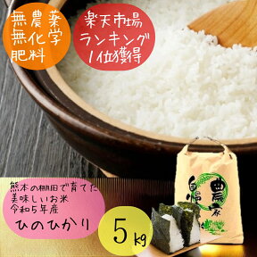 【マラソン期間中200円OFF！】無農薬 白米 5kg お試し 令和5年産 熊本県産 ヒノヒカリ ひのひかり 米 特別栽培米 5キロ 九州産 熊本 お米 農薬不使用 オーガニック 有機 健康 プレゼント