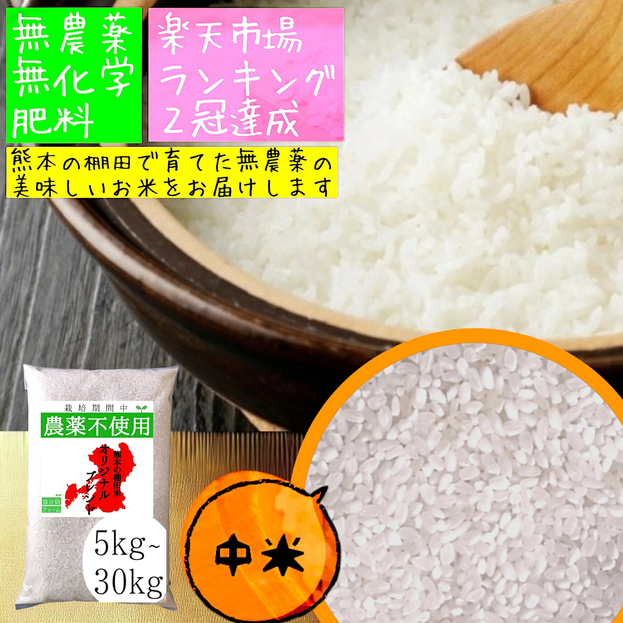 訳あり 無農薬 白米 5kg