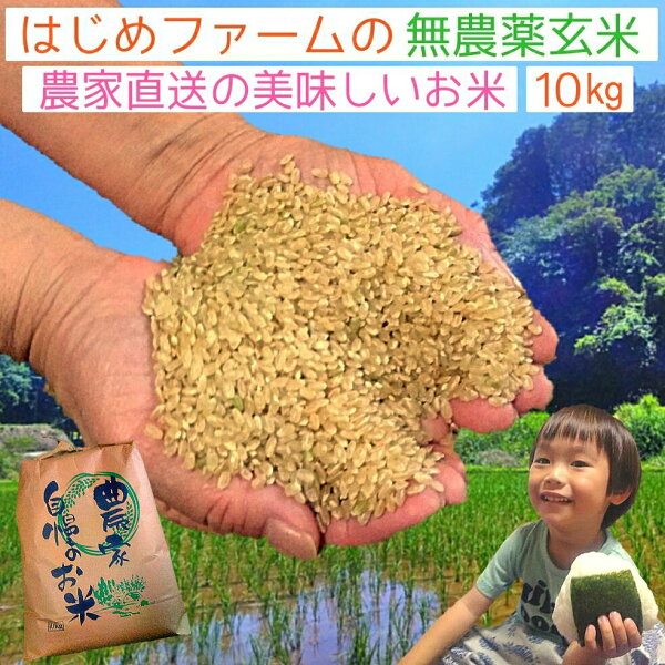 玄米 10kg 無農薬 食品 - FavoFavoItems