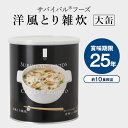 防災グッズ 保存食 非常食 防災 缶詰 災害用 大缶 洋風とり雑炊 サバイバルフーズ