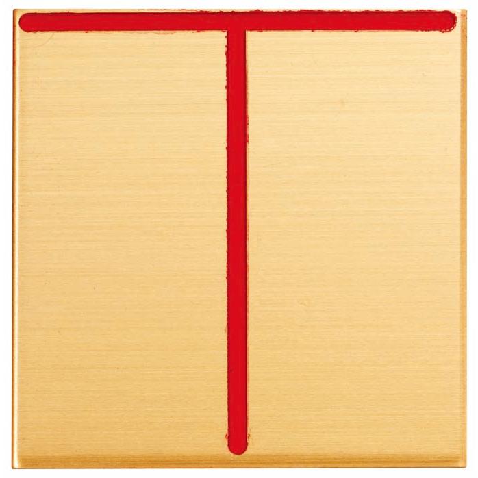 Rakuten - カクマル 50角 真鍮製境界プレート B50D T字 貼付タイプ 50x50x2mm 1枚