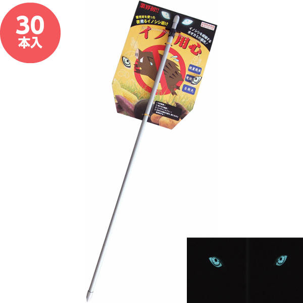獣害対策用品 イノ用心 30本入 畜光材を使った夜光るイノシシ避け 実用新案登録第3212215号