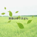MYZOX マイゾックス 鋼製巻尺 マイスチール交換用テープ 50m MYS-50R